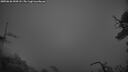 ./images/calvert/fitz-hugh-hecate/20250626/fitz-hugh-hecate20250626_044508M.jpg