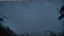 ./images/calvert/fitz-hugh-hecate/20250626/fitz-hugh-hecate20250626_045008M.jpg