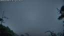 ./images/calvert/fitz-hugh-hecate/20250626/fitz-hugh-hecate20250626_050008M.jpg