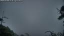 ./images/calvert/fitz-hugh-hecate/20250626/fitz-hugh-hecate20250626_050508M.jpg