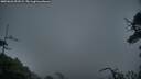 ./images/calvert/fitz-hugh-hecate/20250626/fitz-hugh-hecate20250626_051008M.jpg