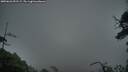 ./images/calvert/fitz-hugh-hecate/20250626/fitz-hugh-hecate20250626_051509M.jpg