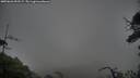 ./images/calvert/fitz-hugh-hecate/20250626/fitz-hugh-hecate20250626_052507M.jpg