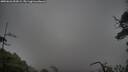 ./images/calvert/fitz-hugh-hecate/20250626/fitz-hugh-hecate20250626_053008M.jpg