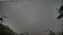 ./images/calvert/fitz-hugh-hecate/20250626/fitz-hugh-hecate20250626_054508M.jpg