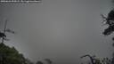 ./images/calvert/fitz-hugh-hecate/20250626/fitz-hugh-hecate20250626_055008M.jpg