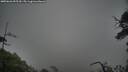 ./images/calvert/fitz-hugh-hecate/20250626/fitz-hugh-hecate20250626_055510M.jpg