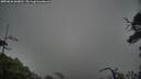 ./images/calvert/fitz-hugh-hecate/20250626/fitz-hugh-hecate20250626_060010M.jpg