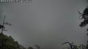 ./images/calvert/fitz-hugh-hecate/20250626/fitz-hugh-hecate20250626_060510M.jpg