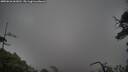 ./images/calvert/fitz-hugh-hecate/20250626/fitz-hugh-hecate20250626_061010M.jpg