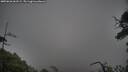 ./images/calvert/fitz-hugh-hecate/20250626/fitz-hugh-hecate20250626_061509M.jpg
