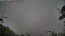 ./images/calvert/fitz-hugh-hecate/20250626/fitz-hugh-hecate20250626_063010M.jpg