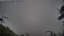 ./images/calvert/fitz-hugh-hecate/20250626/fitz-hugh-hecate20250626_063510M.jpg