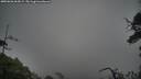 ./images/calvert/fitz-hugh-hecate/20250626/fitz-hugh-hecate20250626_064509M.jpg