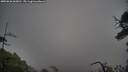 ./images/calvert/fitz-hugh-hecate/20250626/fitz-hugh-hecate20250626_065010M.jpg
