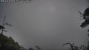 ./images/calvert/fitz-hugh-hecate/20250626/fitz-hugh-hecate20250626_071010M.jpg