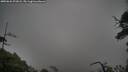 ./images/calvert/fitz-hugh-hecate/20250626/fitz-hugh-hecate20250626_072008M.jpg