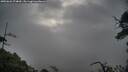 ./images/calvert/fitz-hugh-hecate/20250626/fitz-hugh-hecate20250626_074010M.jpg