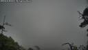./images/calvert/fitz-hugh-hecate/20250626/fitz-hugh-hecate20250626_081010M.jpg
