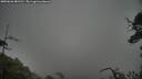 ./images/calvert/fitz-hugh-hecate/20250626/fitz-hugh-hecate20250626_081511M.jpg