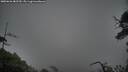 ./images/calvert/fitz-hugh-hecate/20250626/fitz-hugh-hecate20250626_082510M.jpg