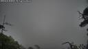 ./images/calvert/fitz-hugh-hecate/20250626/fitz-hugh-hecate20250626_084010M.jpg