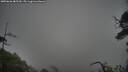 ./images/calvert/fitz-hugh-hecate/20250626/fitz-hugh-hecate20250626_085510M.jpg