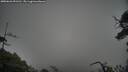 ./images/calvert/fitz-hugh-hecate/20250626/fitz-hugh-hecate20250626_091510M.jpg
