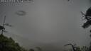 ./images/calvert/fitz-hugh-hecate/20250626/fitz-hugh-hecate20250626_092509M.jpg