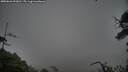 ./images/calvert/fitz-hugh-hecate/20250626/fitz-hugh-hecate20250626_093011M.jpg