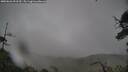 ./images/calvert/fitz-hugh-hecate/20250626/fitz-hugh-hecate20250626_093510M.jpg