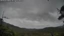 ./images/calvert/fitz-hugh-hecate/20250626/fitz-hugh-hecate20250626_100010M.jpg