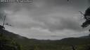 ./images/calvert/fitz-hugh-hecate/20250626/fitz-hugh-hecate20250626_100511M.jpg