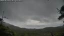 ./images/calvert/fitz-hugh-hecate/20250626/fitz-hugh-hecate20250626_101511M.jpg