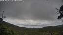 ./images/calvert/fitz-hugh-hecate/20250626/fitz-hugh-hecate20250626_102507M.jpg