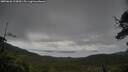 ./images/calvert/fitz-hugh-hecate/20250626/fitz-hugh-hecate20250626_103010M.jpg