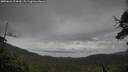 ./images/calvert/fitz-hugh-hecate/20250626/fitz-hugh-hecate20250626_104010M.jpg