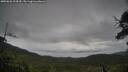 ./images/calvert/fitz-hugh-hecate/20250626/fitz-hugh-hecate20250626_104510M.jpg