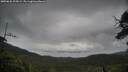 ./images/calvert/fitz-hugh-hecate/20250626/fitz-hugh-hecate20250626_105009M.jpg
