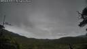 ./images/calvert/fitz-hugh-hecate/20250626/fitz-hugh-hecate20250626_105509M.jpg