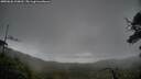 ./images/calvert/fitz-hugh-hecate/20250626/fitz-hugh-hecate20250626_110011M.jpg