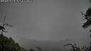 ./images/calvert/fitz-hugh-hecate/20250626/fitz-hugh-hecate20250626_111510M.jpg