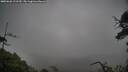 ./images/calvert/fitz-hugh-hecate/20250626/fitz-hugh-hecate20250626_112510M.jpg