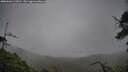 ./images/calvert/fitz-hugh-hecate/20250626/fitz-hugh-hecate20250626_113510M.jpg
