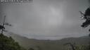 ./images/calvert/fitz-hugh-hecate/20250626/fitz-hugh-hecate20250626_114008M.jpg