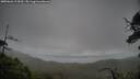 ./images/calvert/fitz-hugh-hecate/20250626/fitz-hugh-hecate20250626_114510M.jpg
