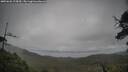 ./images/calvert/fitz-hugh-hecate/20250626/fitz-hugh-hecate20250626_115010M.jpg