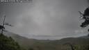 ./images/calvert/fitz-hugh-hecate/20250626/fitz-hugh-hecate20250626_115510M.jpg