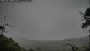 ./images/calvert/fitz-hugh-hecate/20250626/fitz-hugh-hecate20250626_120509M.jpg