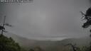 ./images/calvert/fitz-hugh-hecate/20250626/fitz-hugh-hecate20250626_121009M.jpg